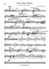 Three Flute Studies - 1st Study